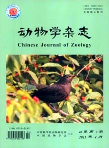 動物學(xué)雜志