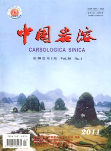 中國(guó)巖溶雜志