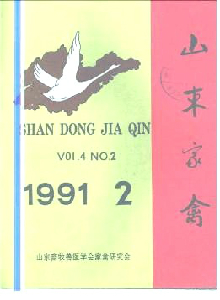山東家禽雜志