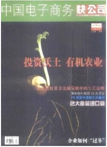 中國電子商務(wù)