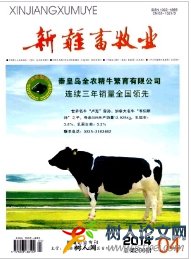 新疆畜牧業