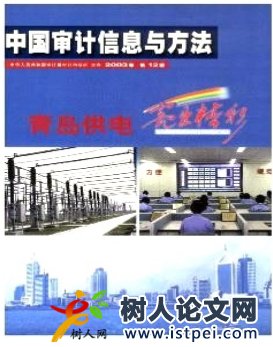 中國(guó)審計(jì)信息與方法
