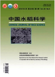 中國水稻科學