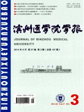 醫生評職論文