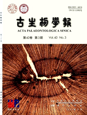 基于兩級分段式算法的卷積神經(jīng)網(wǎng)絡(luò)的浮游有孔蟲自動(dòng)鑒定