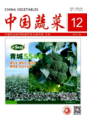 煙臺溫石湯溫泉蓮藕綠色種植技術(shù)