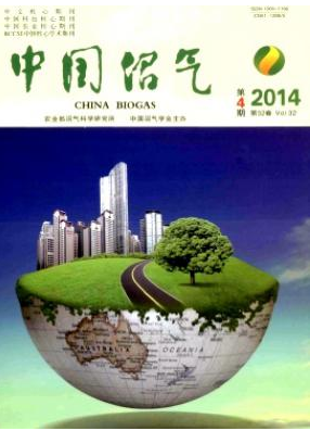 中國沼氣