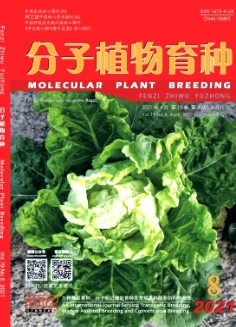 基于AFLP分子標記的園藝風信子品種遺傳多樣性分析