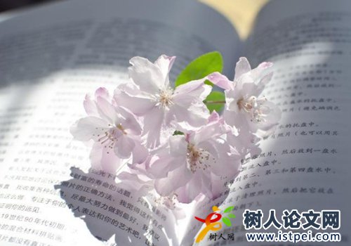 論文發(fā)表對期刊級別要求嚴(yán)格嗎